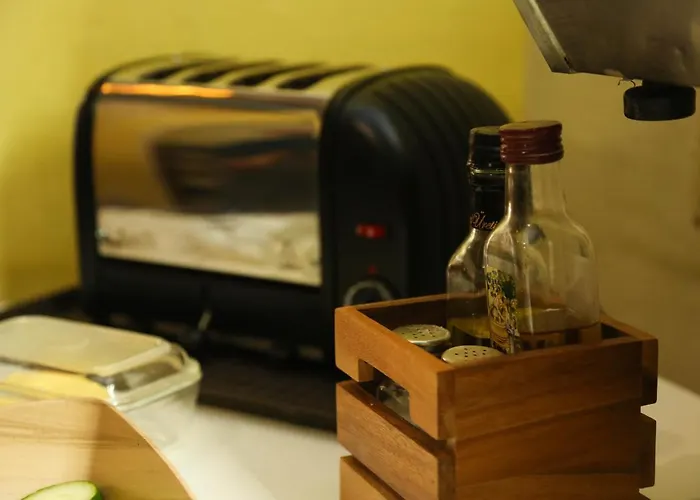 히버니아 레지던스 & 호스텔 호스텔 *