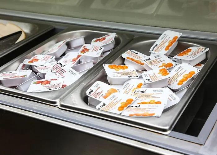 히버니아 레지던스 & 호스텔 * 슬리에마